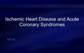 Ischemic Heart Disease and Acute Coronary Syndrome
