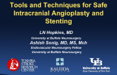 Tools and Techniques for Safe Intracranial Angioplasty and Stenting (With Case Examples)