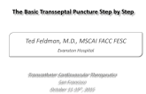 The Basic Transseptal Puncture Step-by-Step