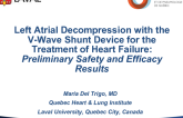 TCT 33: Left Atrial Decompression With the V-Wave Shunt Device for the Treatment of Heart Failure  Preliminary Safety and Efficacy Results
