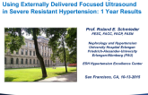 TCT 87: Noninvasive Renal Denervation Study Using Externally Delivered Focused Ultrasound in Severe Resistant Hypertension  One-Year Follow-up Results
