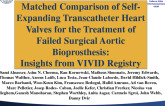 TCT 91: Comparison of Portico and CoreValve Self-Expanding Transcatheter Heart Valves for the Treatment of Failed Surgical Aortic Bioprosthesis  Insights From the Valve-in-Valve International Data (VIVID) Registry