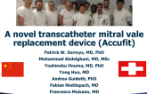 LA Novel Transcatheter Mitral Valve Replacement Device (AccuFit)