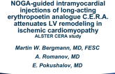 ALSTER-CERA: Evaluation of NOGA-Guided Intramyocardial Injection of a Long-Acting Erythropoietin Analogue in Patients With Ischemic Cardiomyopathy