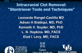 Intracranial Clot Removal: Stentriever Tools and Techniques (With Case Examples)