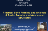 Practical Echo Reading and Analysis of Aortic Annulus and Associated Structures