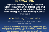 INNOVATION: A Prospective Randomized Trial of Primary Versus Deferred Stent Implantation in Patients With ST-Segment Elevation Myocardial Infarction