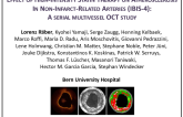 IBIS-4: Evaluation by Optical Coherence Tomography of High-Dose Statin Therapy in Untreated Lesions in Patients With ST-Segment Elevation Myocardial Infarction