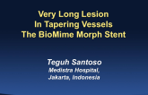 Case 7: Very Long Lesions in Tapering Vessels - The BioMime Morph Stent
