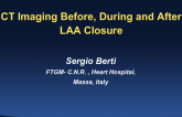 CT Imaging Before, During, and After LAA Closure