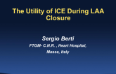 The Utility of ICE During LAA Closure