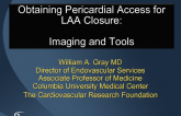 Obtaining Pericardial Access for LAA Closure: Imaging and Tools