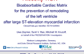An Intracoronary Injectable Bioabsorbable Scaffold to Treat Left Ventricular Remodeling