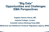 Big Data: Opportunities and Challenges 2  EMA Perspectives