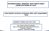 Presentation From Italy: Coronary Occlusion During TAVI