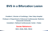 BRS in a Bifurcation Lesion