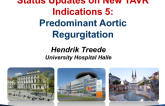 Status Updates on New TAVR Indications 5: Predominant Aortic Regurgitation