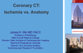 Coronary CT Imaging: Ischemia vs Anatomy