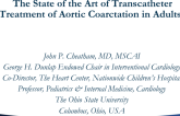 The State of the Art of Transcatheter Treatment of Aortic Coarctation in Adults