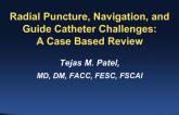 Radial Puncture, Navigation, and Guide Catheter Challenges: A Case-Based Review
