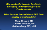 What Have We Learned About BRS From Healthy Animal Models?