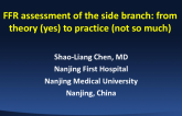 FFR Assessment of the Side Branch: From Theory (Yes) to Practice (Not so Much)