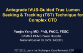 Antegrade IVUS-Guided True Lumen Seeking and Tracking Technique