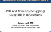 POT and Mini-Kiss (Snuggling) Using BRS in Bifurcations
