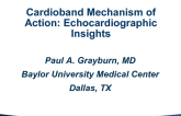 Cardioband Mechanism of Action: Echocardiographic Insights (2-D and 3-D)