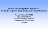 Guided Delivery Systems Accucinch: Device Description, Experiences, and Future Directions