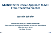 Multitranscatheter Device Approach to MR: From Theory to Practice