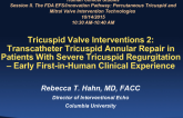 Tricuspid Valve Interventions 2: Transcatheter Tricuspid Annular Repair in Patients With Severe Tricuspid Regurgitation  Early First-in-Human Clinical Experience