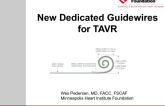 Dedicated Guidewires for TAVR
