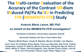 MEMENTO FFR: Evaluation of Contrast-Induced Submaximal Hyperemia in Patients With Coronary Artery Lesions of Intermediate Severity