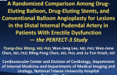 A Randomized Comparison Among Drug Eluting Balloon, Drug Eluting Stents, and Conventional Balloon Angioplasty for Lesions in the Distal Internal Pudendal Artery in Patients with Erectile Dysfunction: The Perfect-3 Study