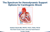 The Spectrum of Hemodynamic Support Options for Shock
