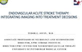 Integrating Imaging Into the Clinical Decision Making in Acute Stroke