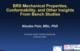 BRS Mechanical Properties, Conformability, and Other Insights From Bench Studies