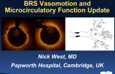 BRS Vasomotion and Microcirculatory Function Update