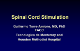 Spinal Cord Stimulation