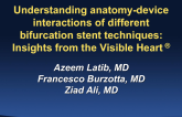 Understanding Anatomy-Device Interactions of Different Bifurcation Stent Techniques: Insights From the Visible Heart Lab