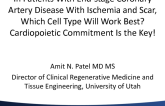 In Patients With End-stage Coronary Artery Disease With Ischemia and Scar, Which Cell Type Will Work Best? Cardiopoietic Commitment Is the Key!