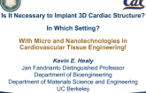 Debate: Is It Necessary to Implant 3-D Cardiac Structures? In Which Setting? With Micro and Nanotechnology in Cardiovascular Tissue Engineering!