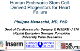 First-in-Man Experience With Human Embryonic Stem Cell-Derived Progenitors for Heart Failure