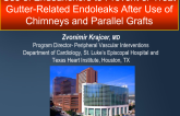 Use of Endoanchors to Prevent or Treat Gutter-Related Endoleaks After Use of Chimneys and Parallel Grafts