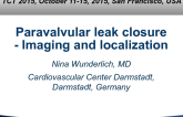 Paravalvular Leak Closure: Imaging and Localization
