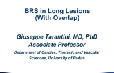 BRS in Long Lesions (With Overlap)