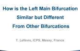 How Is the Left Main Bifurcation Similar But Different From Other Bifurcations?