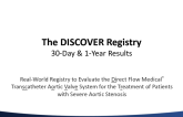 TCT 107: The DISCOVER Registry  One-Year Outcomes of a Fully Repositionable and Retrievable Nonmetallic Transcatheter Aortic Valve in a Real-World Population