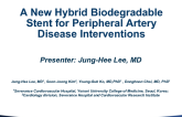 A New Hybrid Biodegradable Stent for Peripheral Artery Disease Interventions